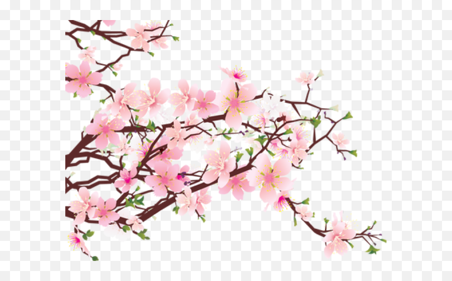 Cherry Blossom Clip Art Free - Cherry Blossom Png Transparent Emoji,Cherry Blossom Clipart