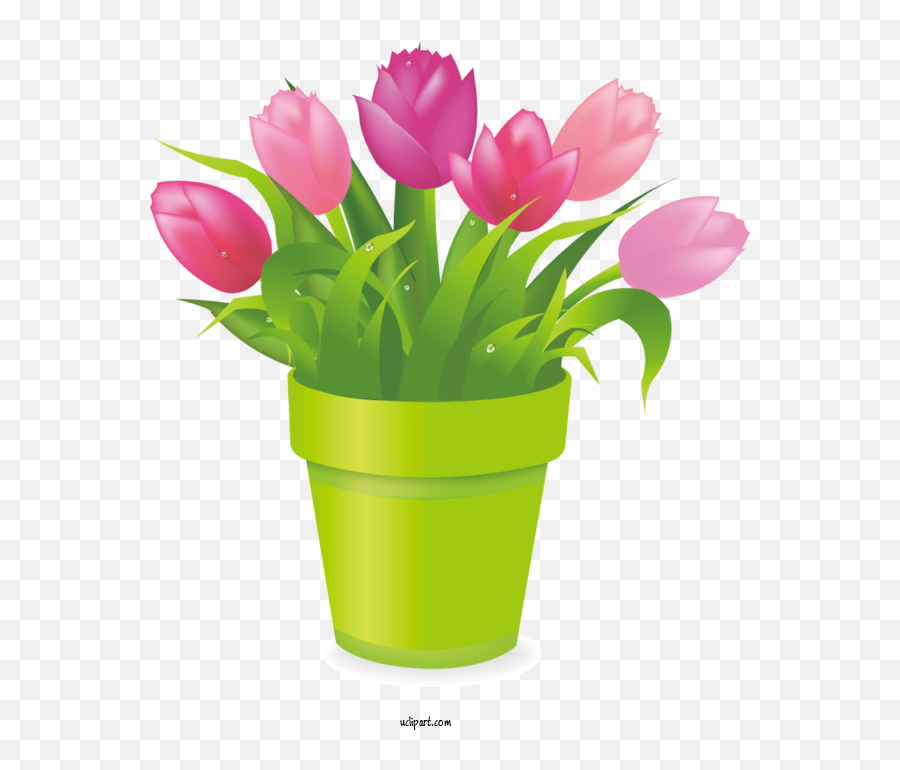 Flowers Flowerpot Tulip Flower For Flower Clipart - Flower Tulip Plant Clipart Emoji,Flower Pot Clipart