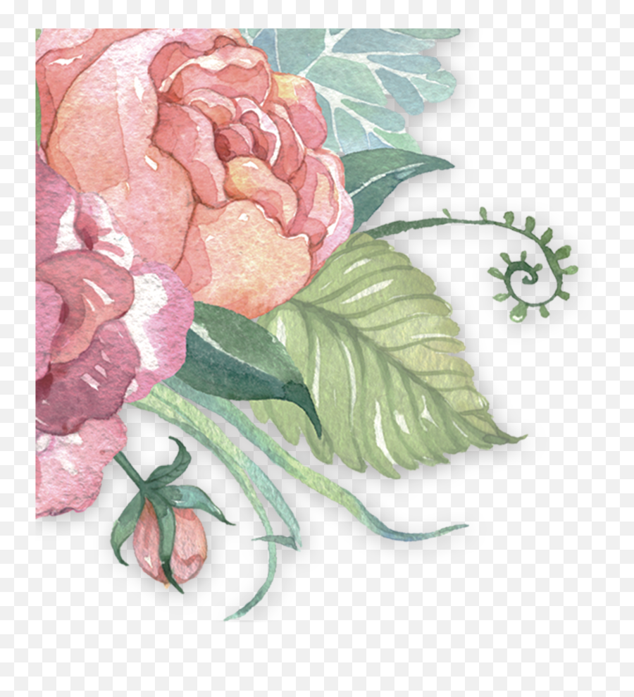 Pastel Flowers 20002000 Transprent Png Free Download - Watercolor Pink Png Background Emoji,Pink Flowers Png