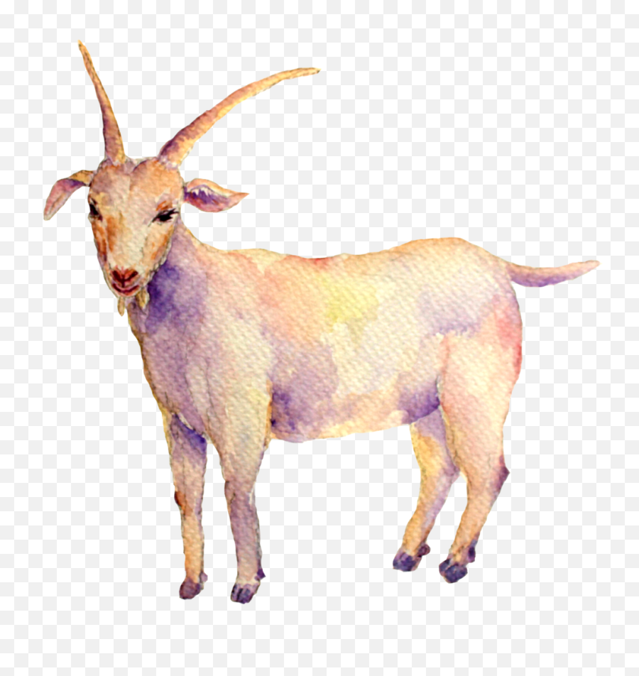 Zodiac Signs Free Png Images Png Play Emoji,Goat Transparent Background