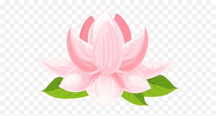 Water Lily Png Clip Art Image Lotus Flower Art Lotus - Hình Ng Hoa Sen Emoji,Lotus Logo