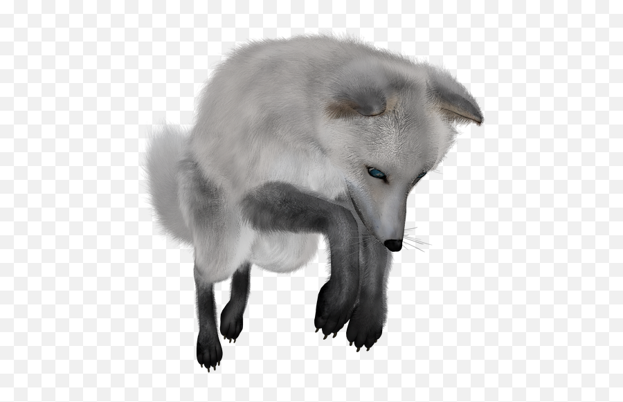 Arctic Fox Png Clipart 60260 - Web Icons Png Emoji,Fox Transparent