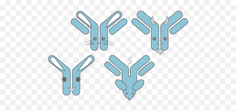 Custom Antibody Development Services Ru0026d Systems Antibodies Emoji,Antibody Png