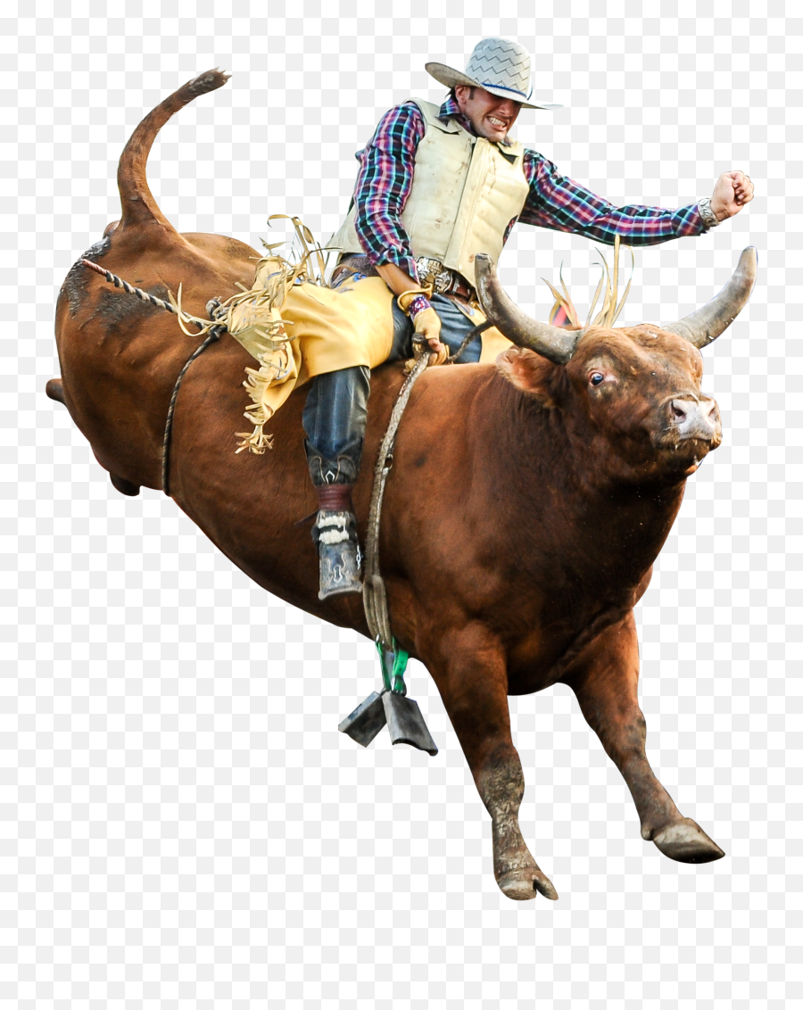Download Hd Riding Professional Riders Rodeo - Bull Riding Emoji,Bull Riding Logo