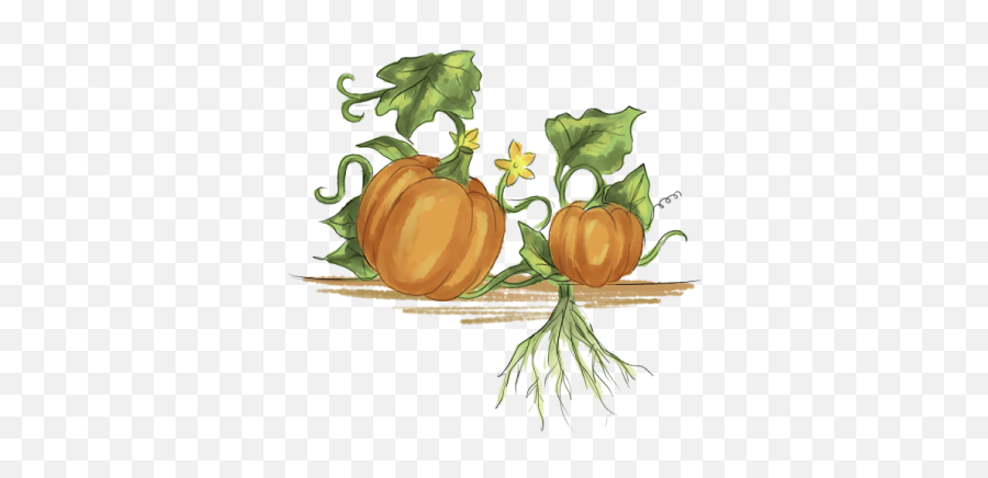 Plant Parts Ews Plant Doctor Emoji,Pumpkin Seeds Clipart