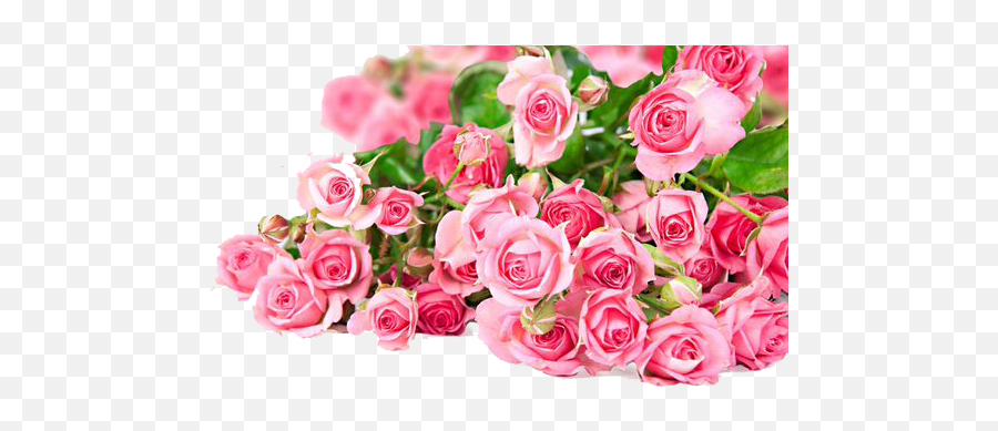 Pink Roses Flowers Bouquet Png Photos Png Mart - Beautiful Flower Wallpaper Rose Emoji,Pink Flower Png