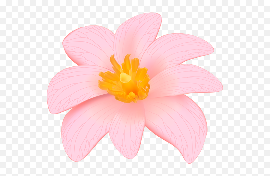 Exotic Pink Flower Clip Art Png Image Flower Designes - Crocus Emoji,Pink Flowers Png