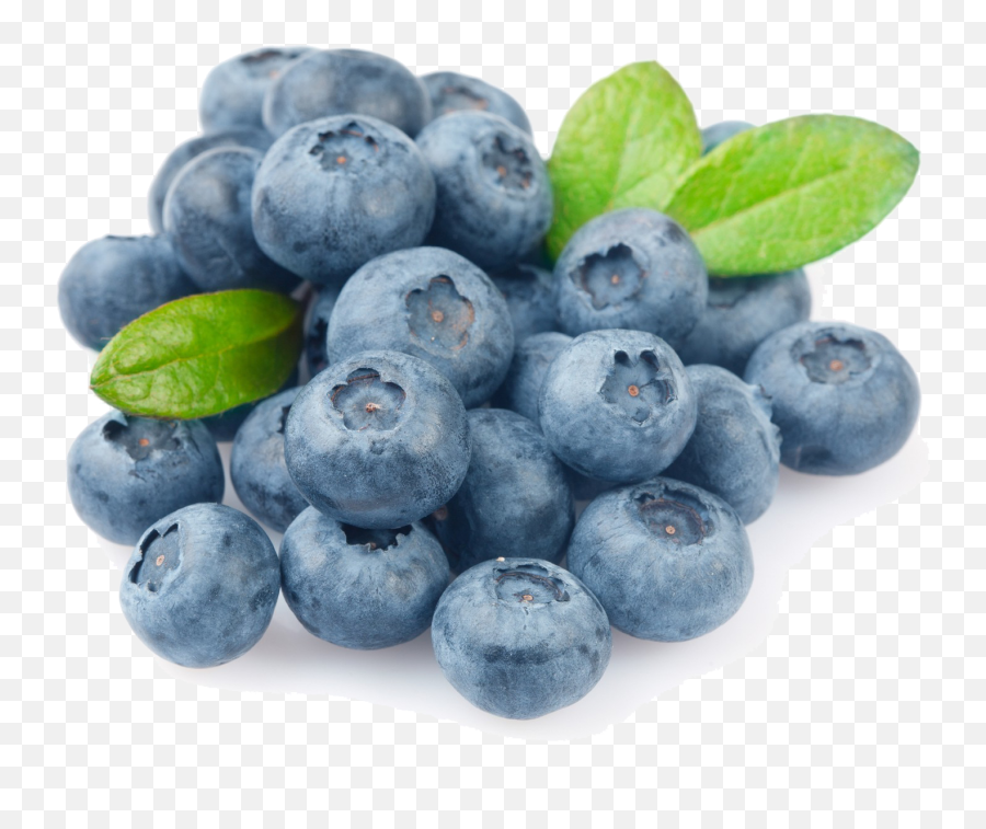 Three Leaves Isolate Greeting Card - Blue Berry Emoji,Blueberries Png