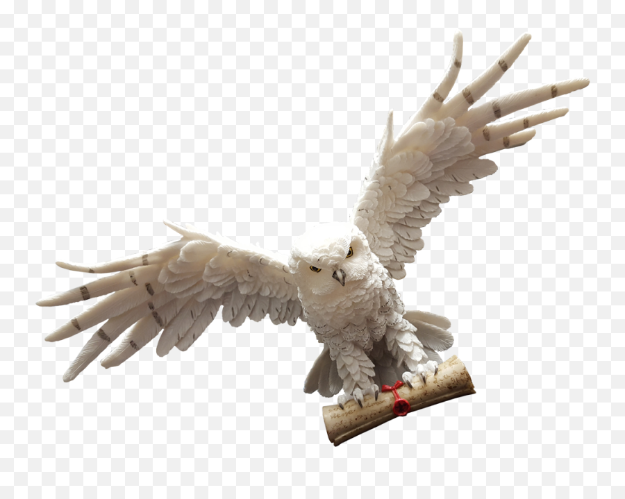 Snowy Owl Letter Fictional Universe Of - Harry Potter Owl Png Emoji,Harry Potter Owl Clipart