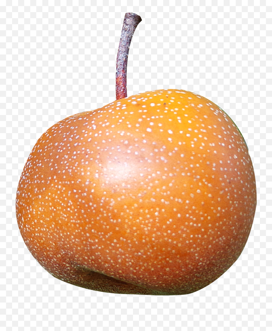 Download Asian Pear Png Image For Free - Asian Pear Png Emoji,Asian Png