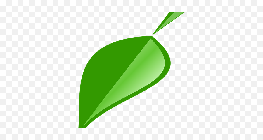 Green Leaves Clipart Single Green Leave - Single Neem Leaf Emoji,Green Leaves Clipart