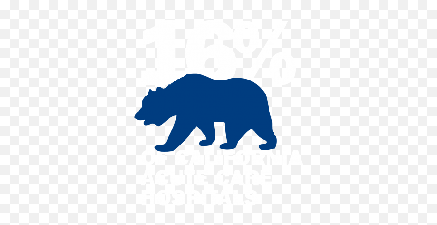 Home Alliance Of Catholic Health Care Emoji,California Bear Png