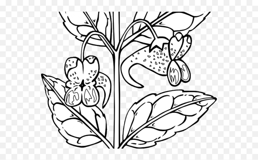 Plant Clipart Black And White - Outline Of A Flower Png Emoji,Succulent Clipart Black And White