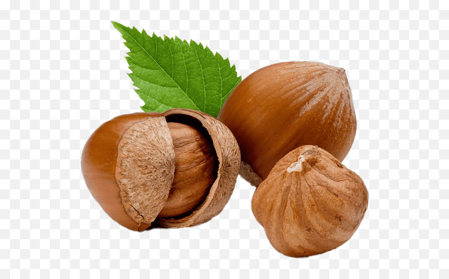 Nuts Png Transparent Images - Hazelnut Png Emoji,Nuts Png