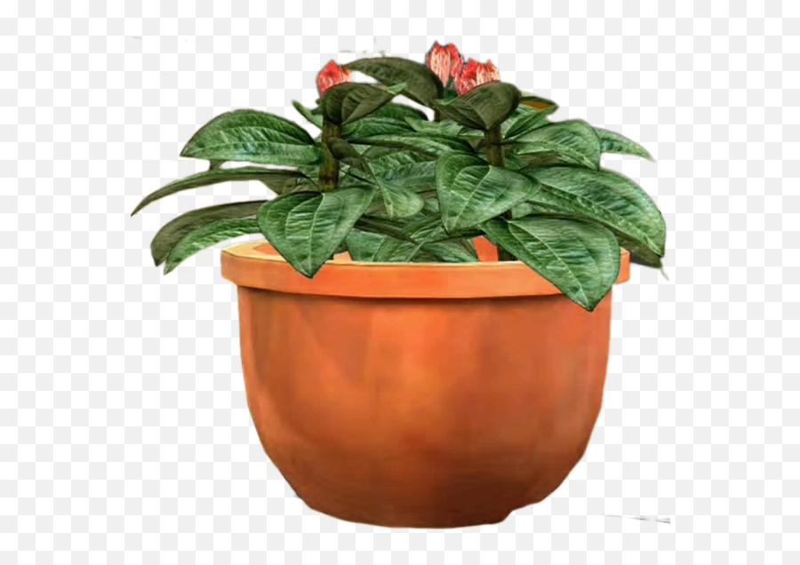Potted Plant - Potted Plant Png Emoji,Plant Png