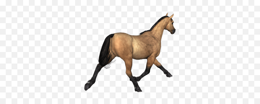 Brown Horse Png Images Free Transparent U2013 Free Png Images - Horse Back View Png Emoji,Horse Png
