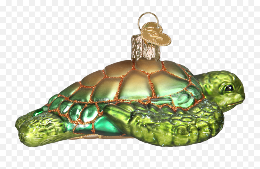 Green Sea Turtle - Turtles Emoji,Sea Turtle Png