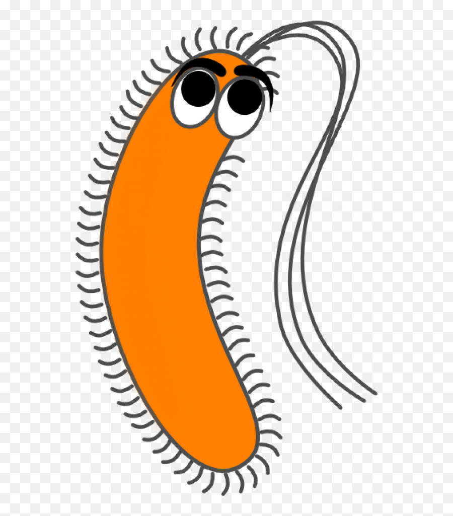 Bacteria Clipart Images Png Transparent - Free Clipart Bacteria Emoji,Bacteria Clipart