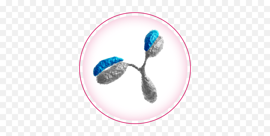 Antibody Medicines And Regeneron Technology Emoji,Antibody Png