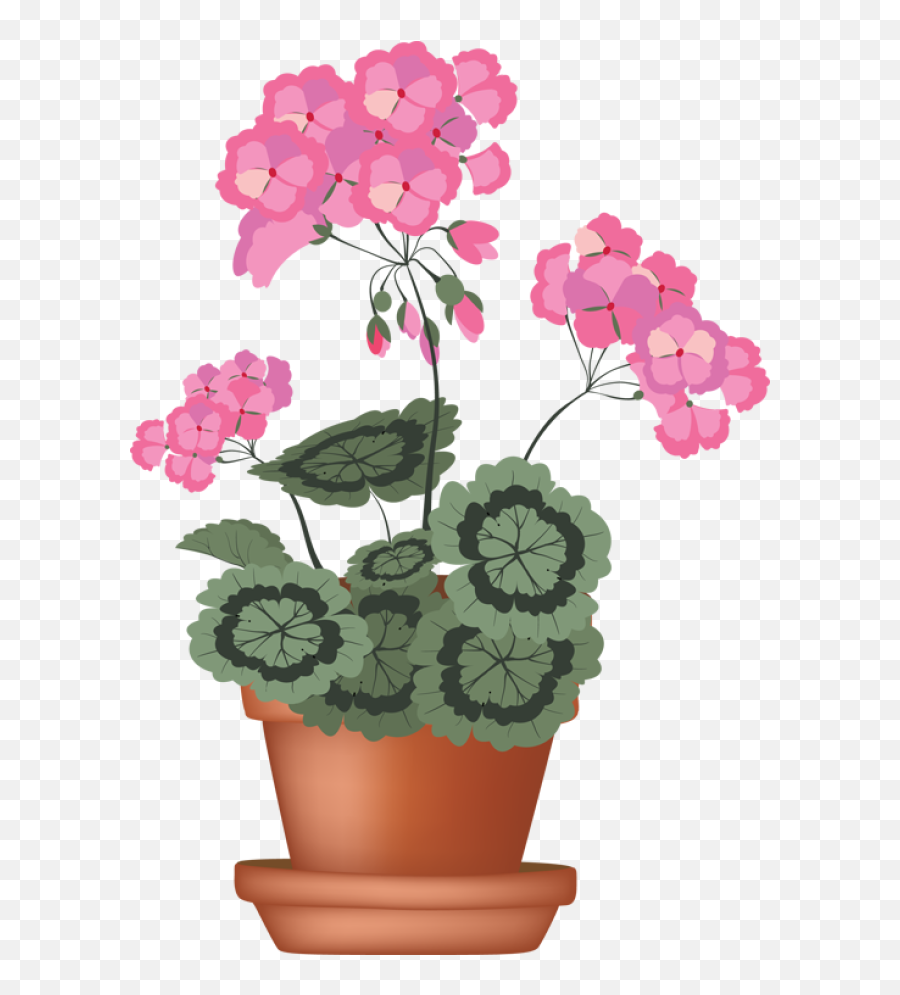 Clip Art Of A Geranium In A Flower Pot - Geranium Flower In Geranium Clipart Emoji,Pot Clipart