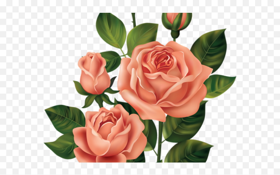 Dead Flower Png - Rose Bush Clipart Dead Vintage Bunga Flower Emoji,Bush Clipart