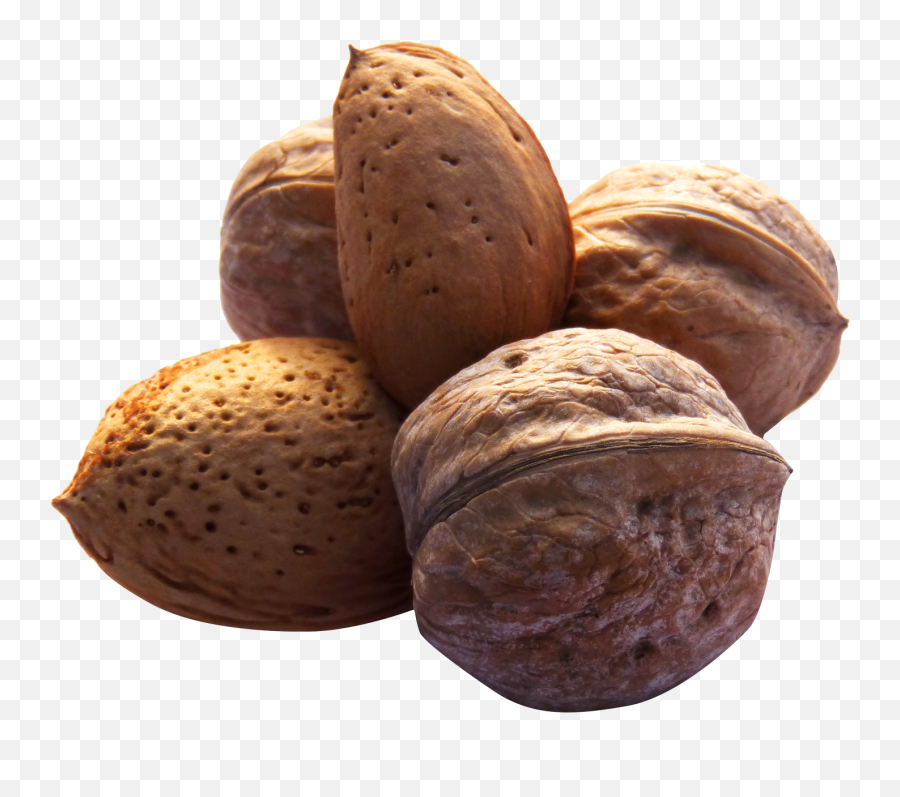 Nuts Png Image - Walnut Hard Clipart Emoji,Nuts Png