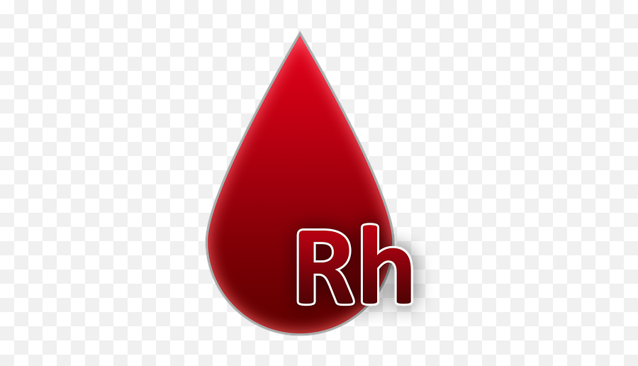 Free Photo Rh Blood Blood Group Blood Donation A Drop Of - Blood Type Emoji,Blood Drop Transparent