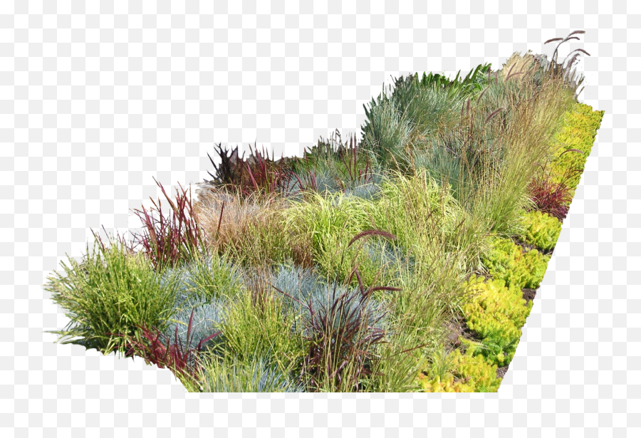 Garden Ideas Garden Design Landscaping Landscape Design Emoji,Plants Png
