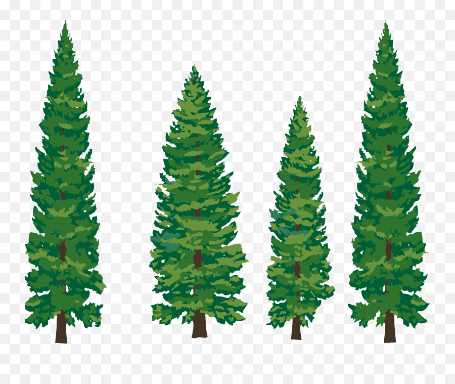Trees Bare Tree Clipart Free Clipart Images - Clipartix Transparent Background Cartoon Pine Tree Emoji,Christmas Tree Png