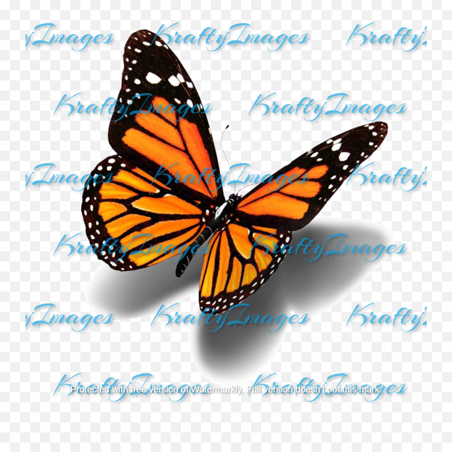 3d Monarch Butterflypngshadow Emoji,Watercolor Butterfly Png