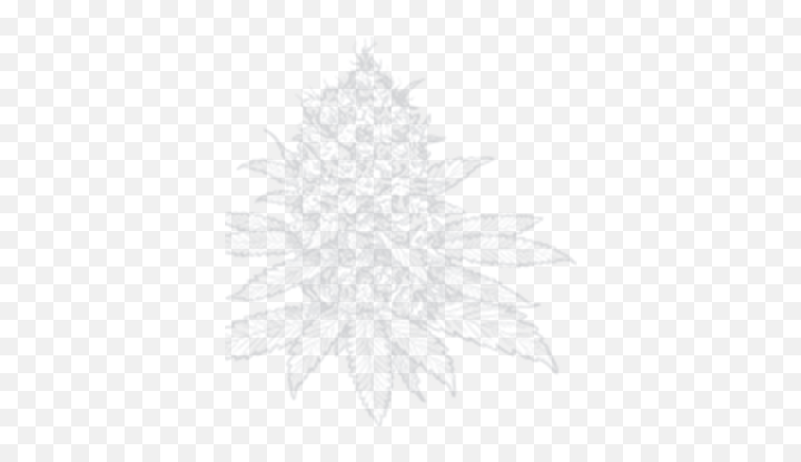 Our Press Buds And Roses Emoji,White Snowflake Transparent Background