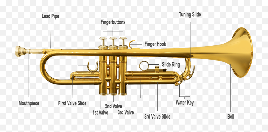 20 Most Frequently Asked Questions About The Trumpet Emoji,Trumpet Png