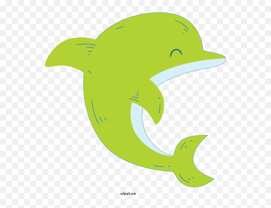 Transparent Animals Bottlenose Dolphin - Common Bottlenose Dolphin Emoji,Transparent Animals