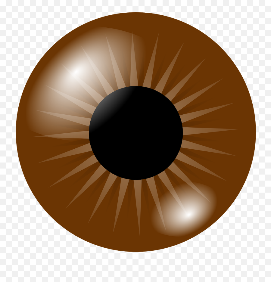 Eyeball Eye Iris Pupil Brown Png Emoji,Eye Ball Png