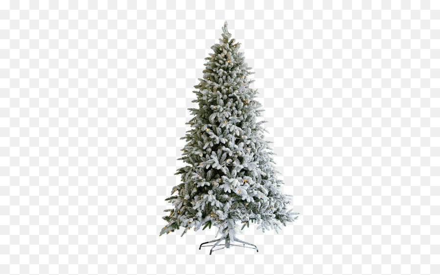 Snow Flocked Christmas Tree 75ft Artificial Hinged Pine Tree With White Realistic Tips Unlit - Flocked Tree Transparent Emoji,Christmas Tree Transparent