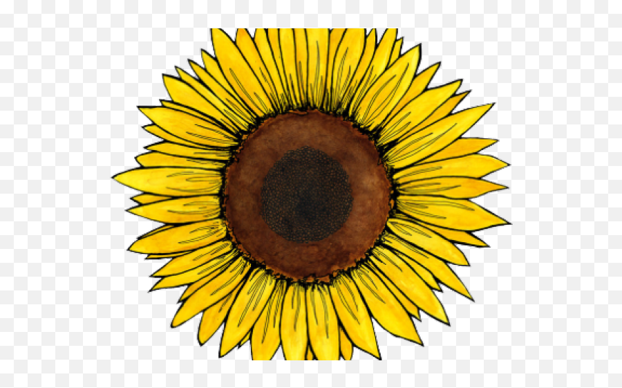 Flowers Clipart Aesthetic - Sunflower Sticker Full Size Yellow Aesthetic Stickers Sunflower Emoji,Aesthetic Clipart