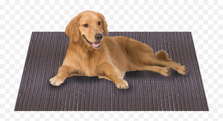 Dog On A Mat Png U0026 Free Dog On A Matpng Transparent Images - Dog Is On The Mat Emoji,Mat Clipart
