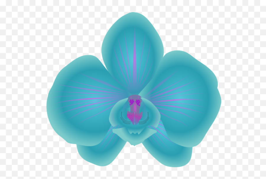 Buca Di Beppo Png - Clip Art Library Orchid Flower Clipart Emoji,Buca Di Beppo Logo