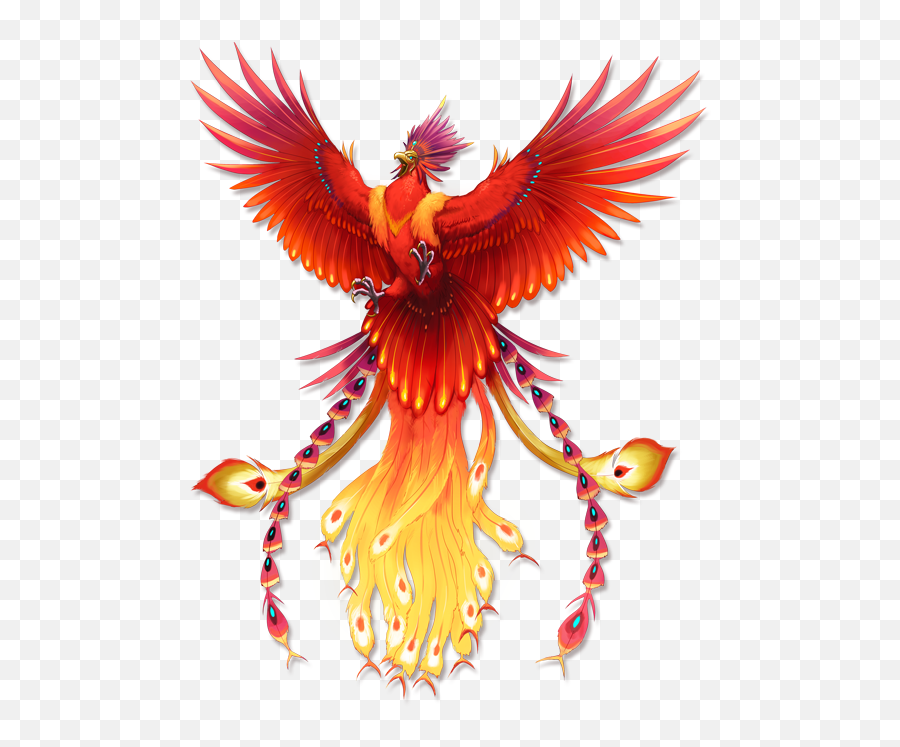 Download Secrets Of The Phoenix On Behance - Secrets Of The Fenix Harry Potter Png Emoji,Behance Logo Png