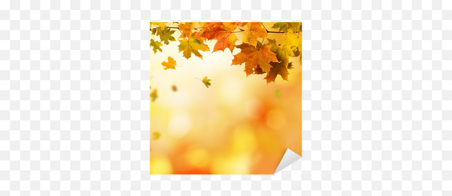Autumn Background Sticker U2022 Pixers - We Live To Change Emoji,Fall Background Png