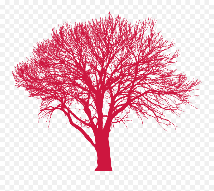 Tree Red - The Being Well Project Emoji,Red Tree Png
