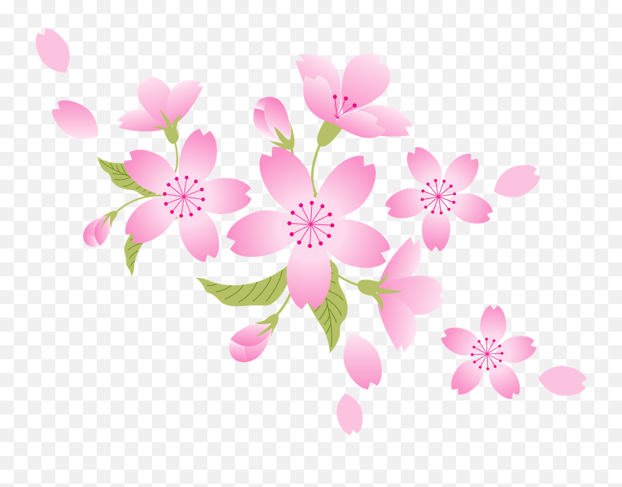 Cherry Blossoms Clipart - Cherry Blossom Clipart Emoji,Cherry Blossom Clipart