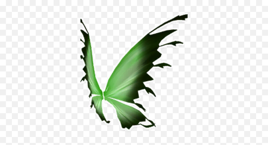 Green Black Fairy Wings Garden Paws Wiki Fandom - Fairy Wings Png Black Emoji,Wings Png