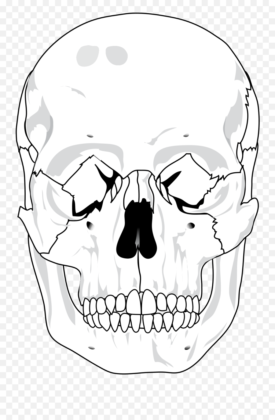 Human Skull Svg Vector Human Skull Clip Art - Svg Clipart House Manwoody Emoji,Skull Clipart Black And White