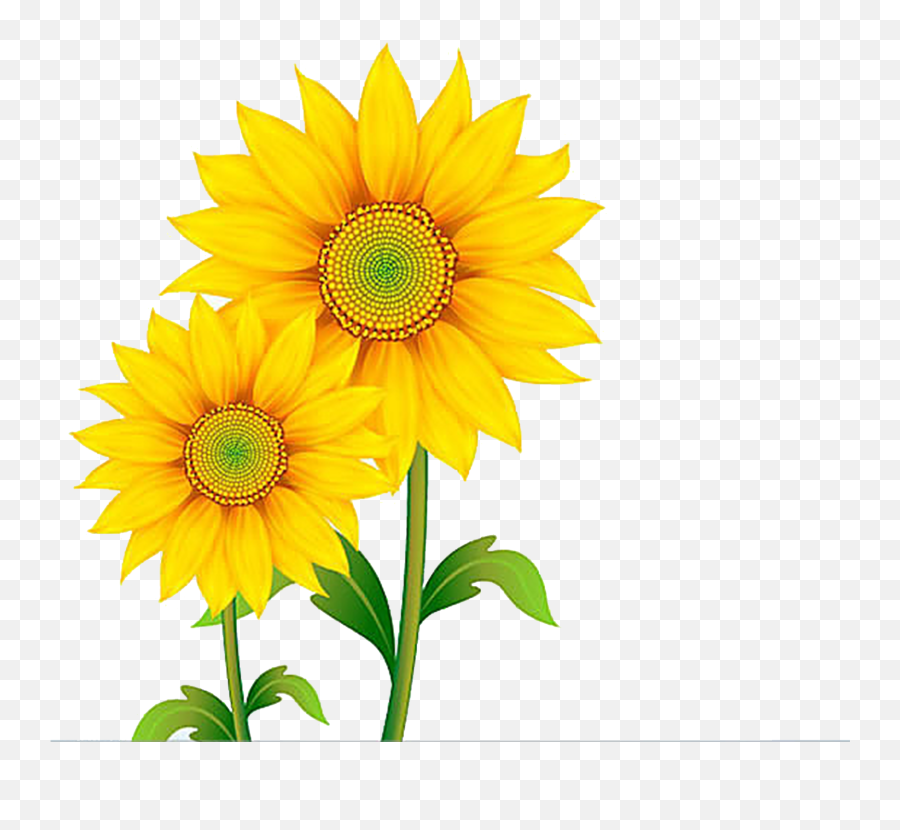 Free Content Clip Art Transprent Png - Nice Yellow Flower Background Emoji,Sunflower Clipart