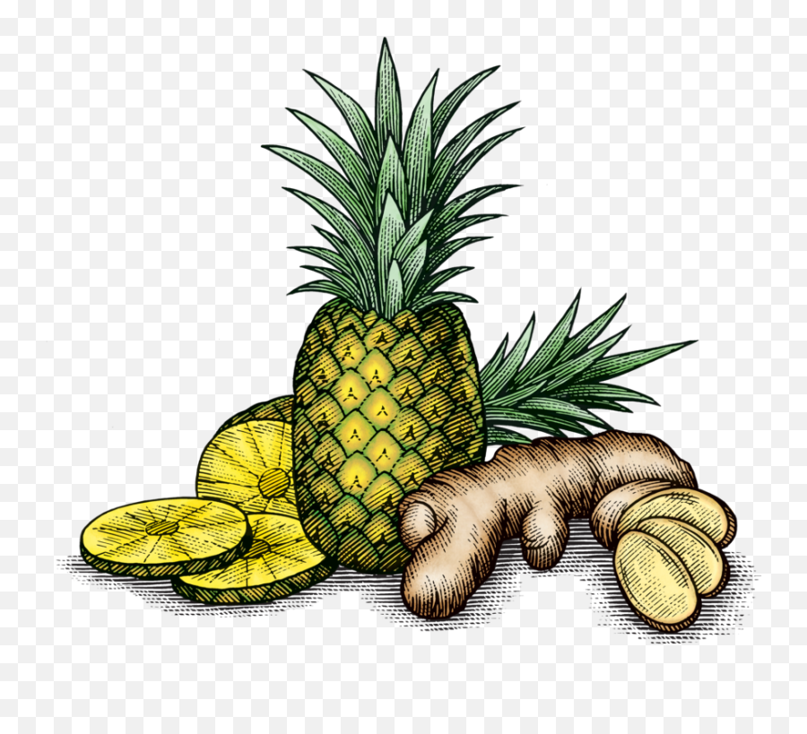 Pineapple And Ginger Png Clipart - Ginger And Pineapple Icon Emoji,Ginger Png