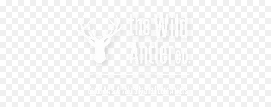 The Wild Antler Co James - Andsteelltd Language Emoji,Antler Logo
