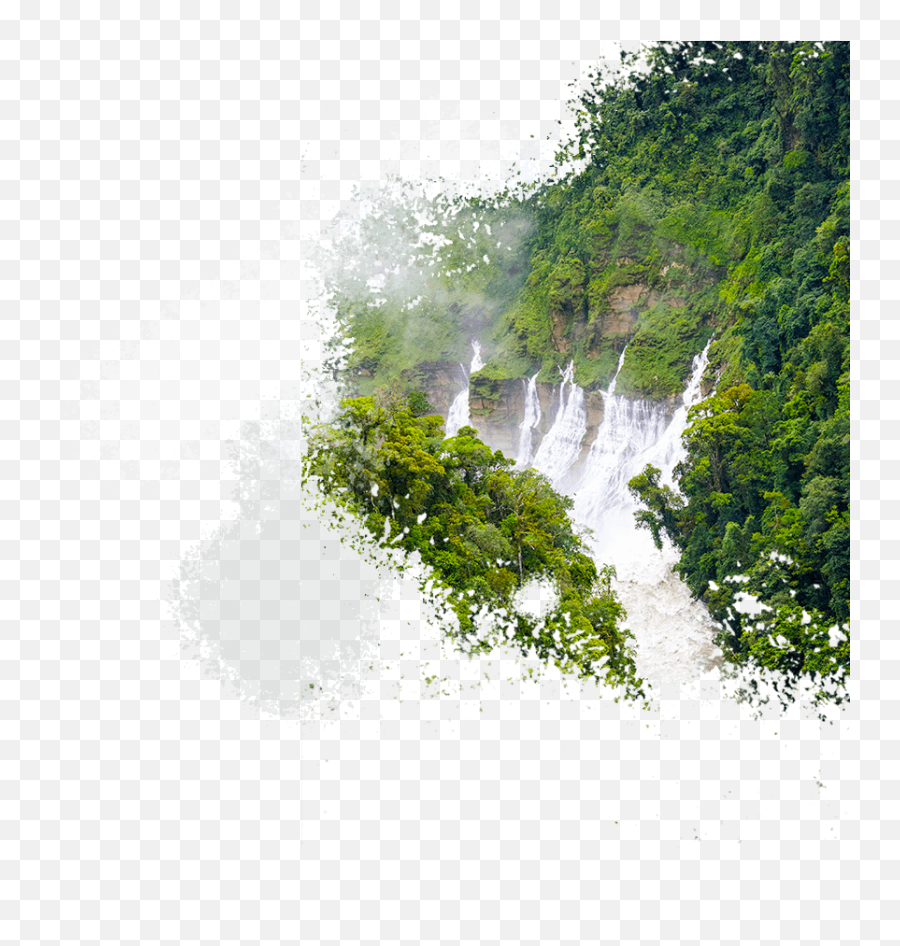 Home Page Redd - Natural Landscape Emoji,Forest Png