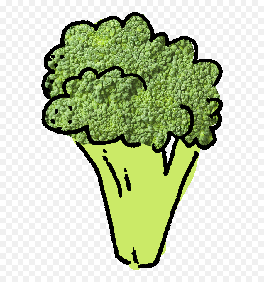 Vegetables Clipart Broccoli Vegetables Broccoli Transparent - Cabbage Gif Png Emoji,Broccoli Clipart