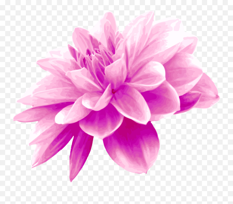 Pink Flower - Pink Colour Flower Png 2400x2000 Png Pink Flower Png Emoji,Pink Flower Png